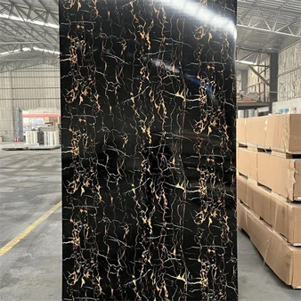 1683273886885 1683273886885